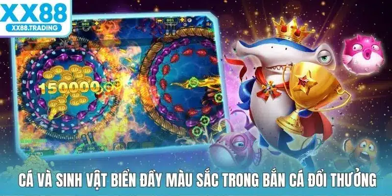 Cá và sinh vật biển đầy màu sắc trong bắn cá đổi thưởng