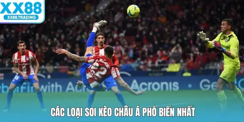 Các loại soi kèo Châu Á phổ biến nhất