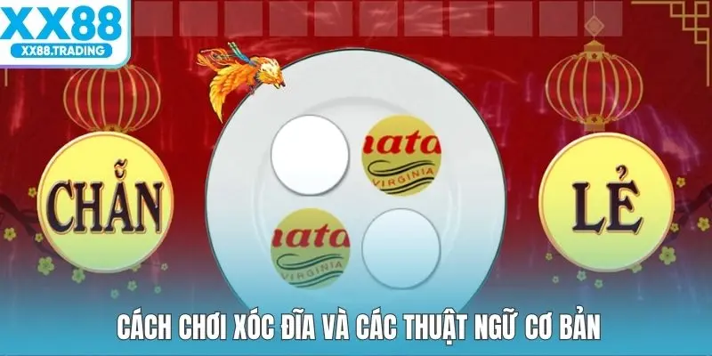 Cách chơi xóc đĩa và các thuật ngữ cơ bản