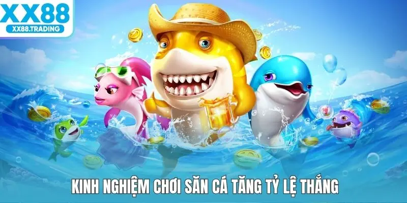 Kinh nghiệm chơi săn cá tăng tỷ lệ thắng